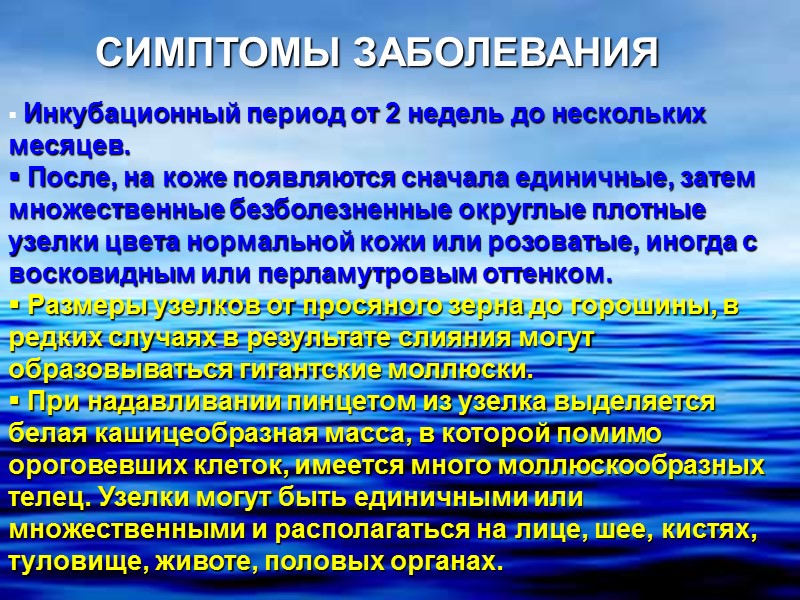 Инкубационный период от 2 недель до нескольких месяцев.  После, на коже появляются сначала